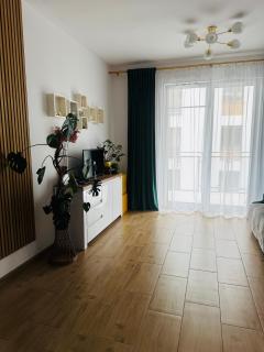 Geodezyjna 72 Apartment - 7