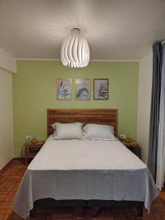 Comfortable semi-basement apartment in Providencia - 5