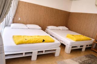 Home Sake Hòn Sơn - 3