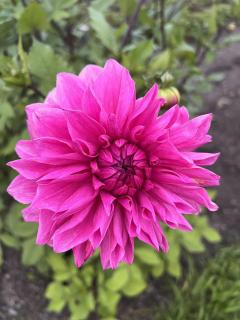 Maison des Pèlerins - 3