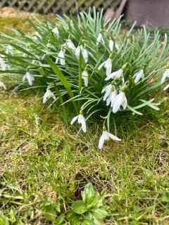 Charmigt hus uthyres - 8