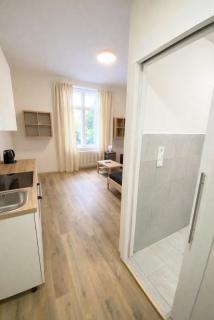 Vintage Apartment Ostrava centrum - Free Parking - 5