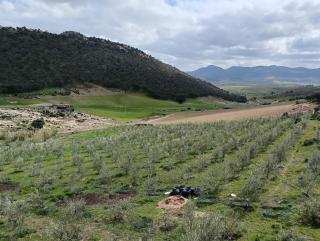 AYA Farm,Ferme d'hotes Aguelmous - Khenifra - 8