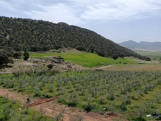 AYA Farm,Ferme d'hotes Aguelmous - Khenifra - 9