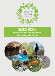 Wild Cabins Kinvara - 4