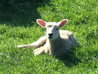 Unique Luxury Barn - 2