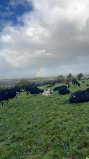 The Unplugged Snug - 6