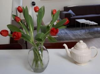 Monumental House in Down Town Leiden - 6