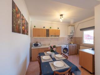 Golden Valley Flat, Apartament in Sibiu - 5
