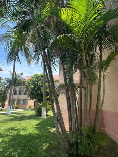 Condominios Pacifico Escape - 3