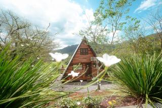 Cabana Montana - Serra Gaúcha - 0