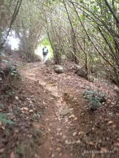 Jungle Paradise Hostel - 9