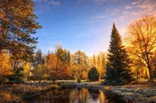 Ferienhaus Sommer - 1