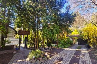 Park Apartment - Krakau - 5