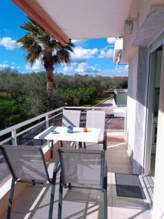 Olives by the Sea - 9