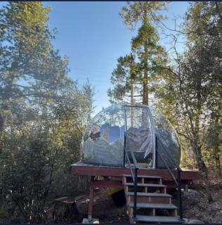 Stargazing Dome with Forrest Cottage on Lakefront Property - 0