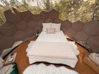 Stargazing Dome with Forrest Cottage on Lakefront Property - 5