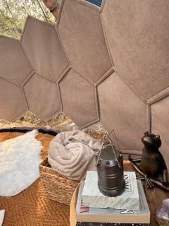 Stargazing Dome with Forrest Cottage on Lakefront Property - 2