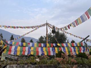 Monastic Stay Gangtok - 5