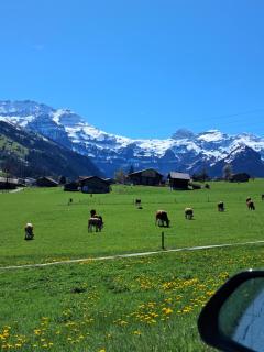 Berna Habitacion - 8