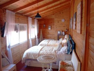 Casa tipo cabaña Arenas de San Pedro - 8