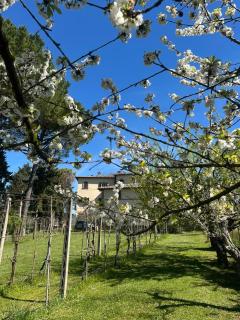 Le Due Querce - Vicolo Rancolfo - 9