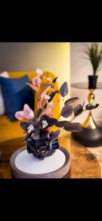 شاليهات المنتهى - 4