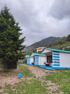 Nest bird cottage - 9