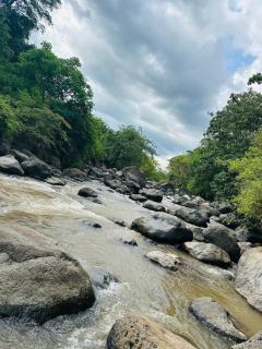 Moshi's nest - Moshi - 5