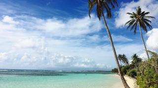 Residence Pineapple - 9