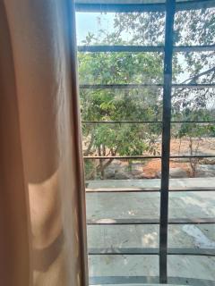 Nadaa Organic Farms - 4