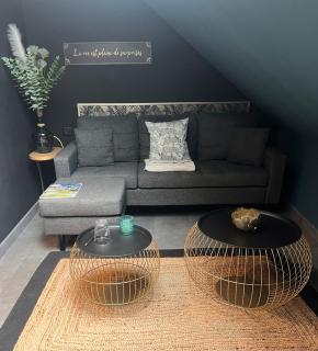 Suite avec salon privé 25m2 Wifi Netflix Duclair - 9