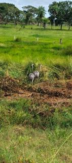 Casa de MaMa Bertha y Papacho - 6