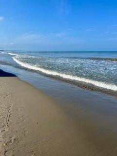 Cozy and quiet apartment - 8