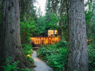 Sauk River Cabins - Hot tub - Firepit - 8