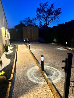 La Tiny de la chicorée - 9