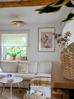 Domek Bory Tucholskie laso przestrzeń - 3