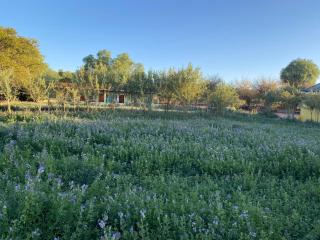 Hostal Inti Wasi - 7