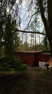 Lesní chata v Malé Hraštici, zážitek klidu v přírodě - 3