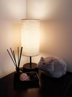 Prime Downtown Toronto - Cozy 1BR - Private Entry - 3