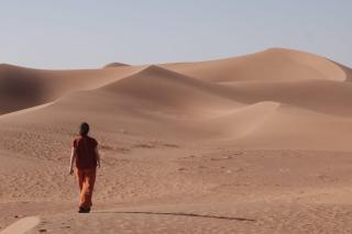 Riad La Voix des Amazones - 8