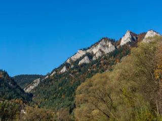 Villa Taternik - Studio Apartment - Mountain View&102 - 6