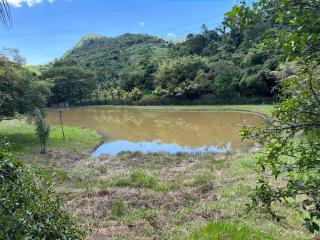 Sitio com piscina - 4