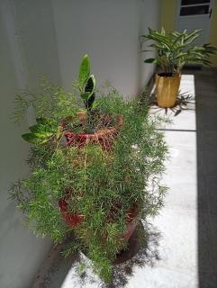 Flat na Praia do Bessa em João Pessoa, Sol e Mar - 1