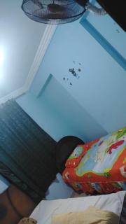 الاسكندريه - 2