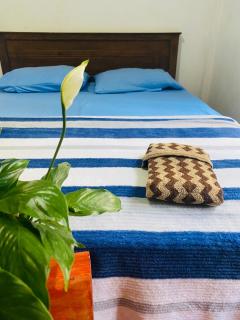 Zensigiri Ayurveda Wellness Homestay - 1