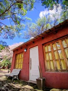 La Quebrada del Molle - 8