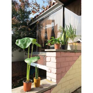 Hongdae Cheese Guesthouse - 1