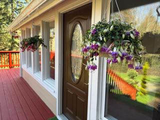 Serene Cottage in the Woods - 8