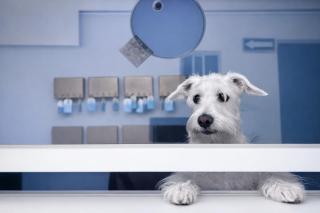 Hotel Puesta del Sol - 9